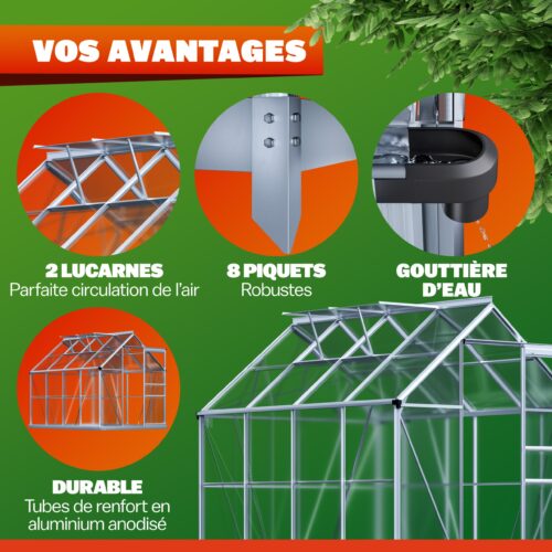 Seră din aluminiu 250x190x195cm cu fundație