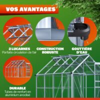 Seră din aluminiu 250x190x195cm cu 2 ferestre de mansardă