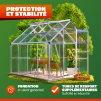 Seră din aluminiu 250x190x195cm cu fundație