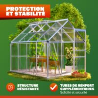 Seră din aluminiu 250x190x195cm cu 2 ferestre de mansardă