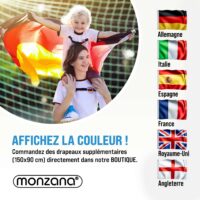 Catarg de steag din aluminiu 650 cm