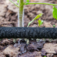 Furtun de picurare 1/2" 15 m