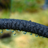 Furtun de picurare 1/2" 15 m