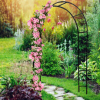 Arc de trandafir negru 240x140x37cm