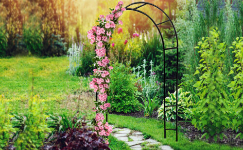 Arc de trandafir negru 240x140x37cm