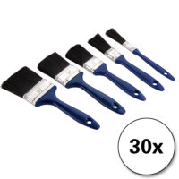 Set de pensule 30 de piese - 5 dimensiuni diferite