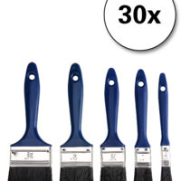 Set de pensule 30 de piese - 5 dimensiuni diferite