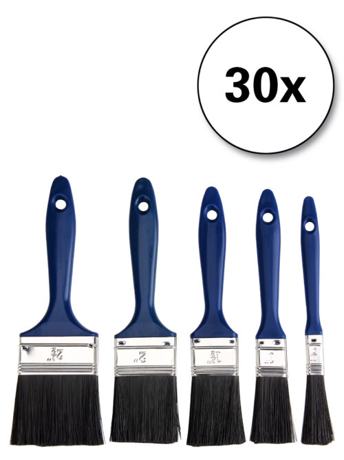 Set de pensule 30 de piese - 5 dimensiuni diferite