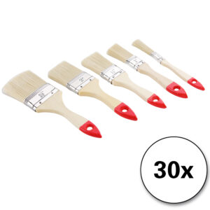 Set de pensule 30 de piese - 5 dimensiuni diferite