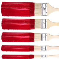Set de pensule 30 de piese - 5 dimensiuni diferite