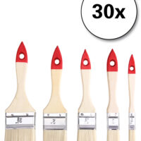 Set de pensule 30 de piese - 5 dimensiuni diferite