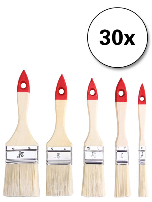 Set de pensule 30 de piese - 5 dimensiuni diferite