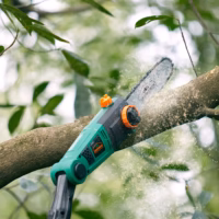 Foarfecă electrică de grădinărit cu stâlp ASX900