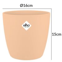 Ghiveci cu flori de piersici de Bruxelles 16x15cm 2.2L