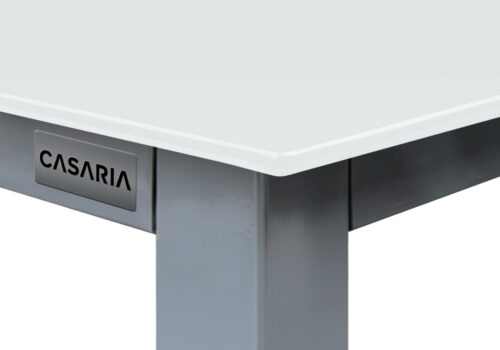 Masa cu scaune de grădină Bern, 7 piese, argintiu, aluminiu, sticlă mată