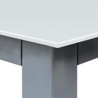 Mobilier de grădină Bern, 5 piese, argintiu, aluminiu, sticlă mată